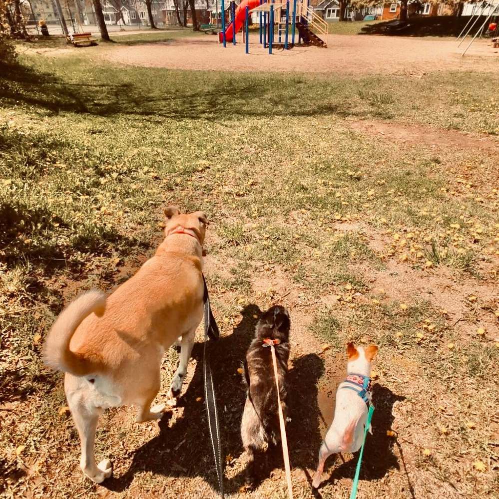 Meet your Posher, August